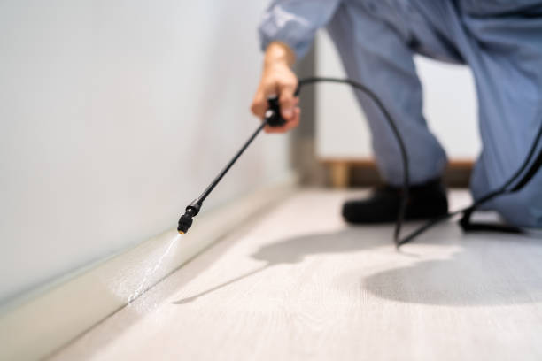 Bed Bug Pre-Treatment Preparation Assessment in Utica