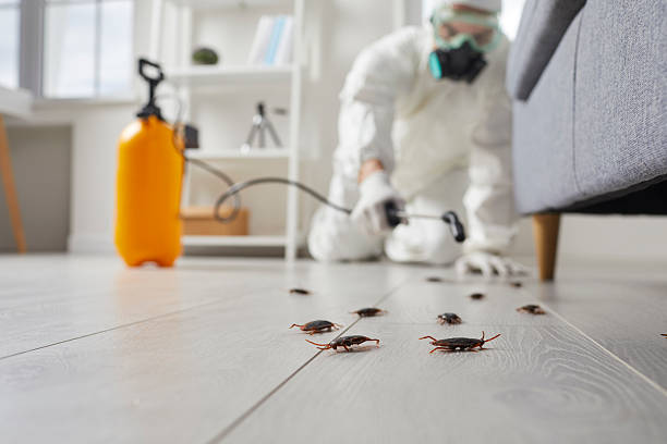 Post-Treatment Bed Bug Interceptor Monitoring in Utica